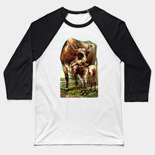 Cow with Calf Vintage Illustration Baseball T-Shirt